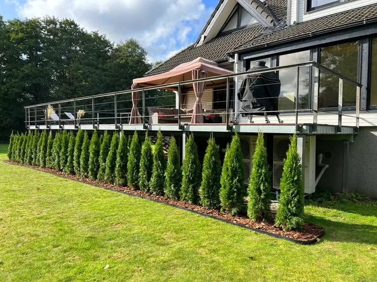 Elupuude hekk – Elupuud24 töö 16