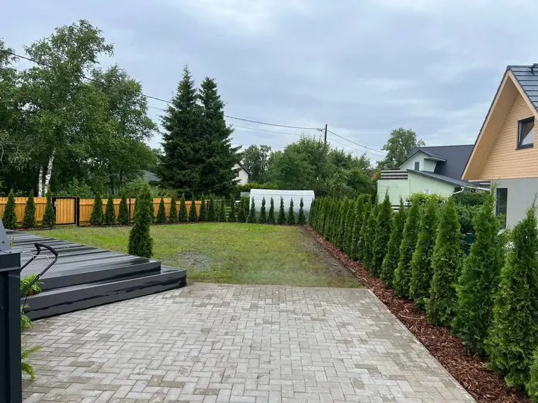 Elupuude hekk – Elupuud24 töö 8